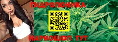 дмт Славгород