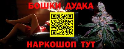 дмт Славгород