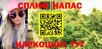 дмт Славгород