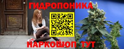 2c-b Славянск-на-Кубани