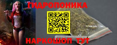 дмт Славгород