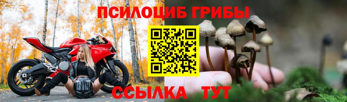 Оренбург  Галлюциногенные грибы Magic Shrooms  Галлюциногенные грибы прущие грибы  Вход с VPN 